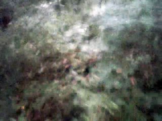 home on the range fingerpicked guitar