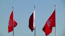 Katar Emiri Temim bin Hamad es-Sani, Tunus'ta