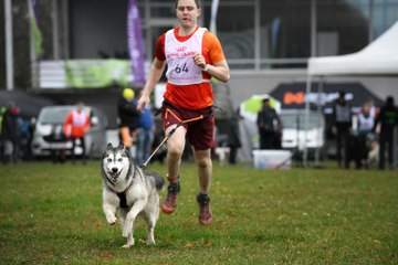 Gros succès pour le canicross de Namur
