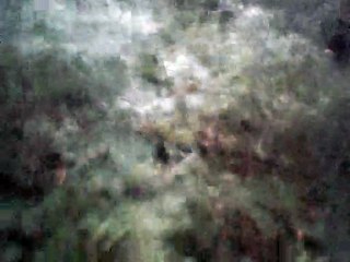 home on the range harmonica special 20 c country tuned