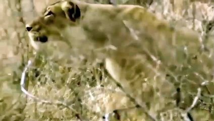 오산출장서비스 오산출장서비스O1Og4832g2166｛카톡BBC42｝ 오산출장마사지샵 오산출장안마on오산출장안마cos여3♪⇔∃마사지황형♥≛≪