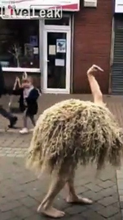 Meilleur déguisement : il imite une autruche !