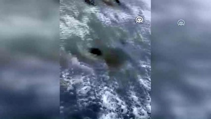 Kastamonu'da buz tutan gölette devasa boyutlarda balıkçı ağı bulundu