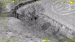 This dramatic police helicopter footage shows the moment cops arrested a gang of bungling burglars - after they tried to hide up a TREE