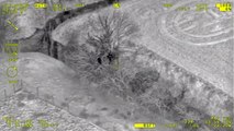 This dramatic police helicopter footage shows the moment cops arrested a gang of bungling burglars - after they tried to hide up a TREE