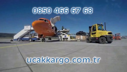 Acil Uçak Kargo - 0850 466 67 68