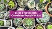 These 5 Houseplant Containers Double As Art