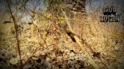 7 ते 8 फुटाचा नाग करतो पुरातनकालीन महादेवाचे रक्षण।Marathi Vlog