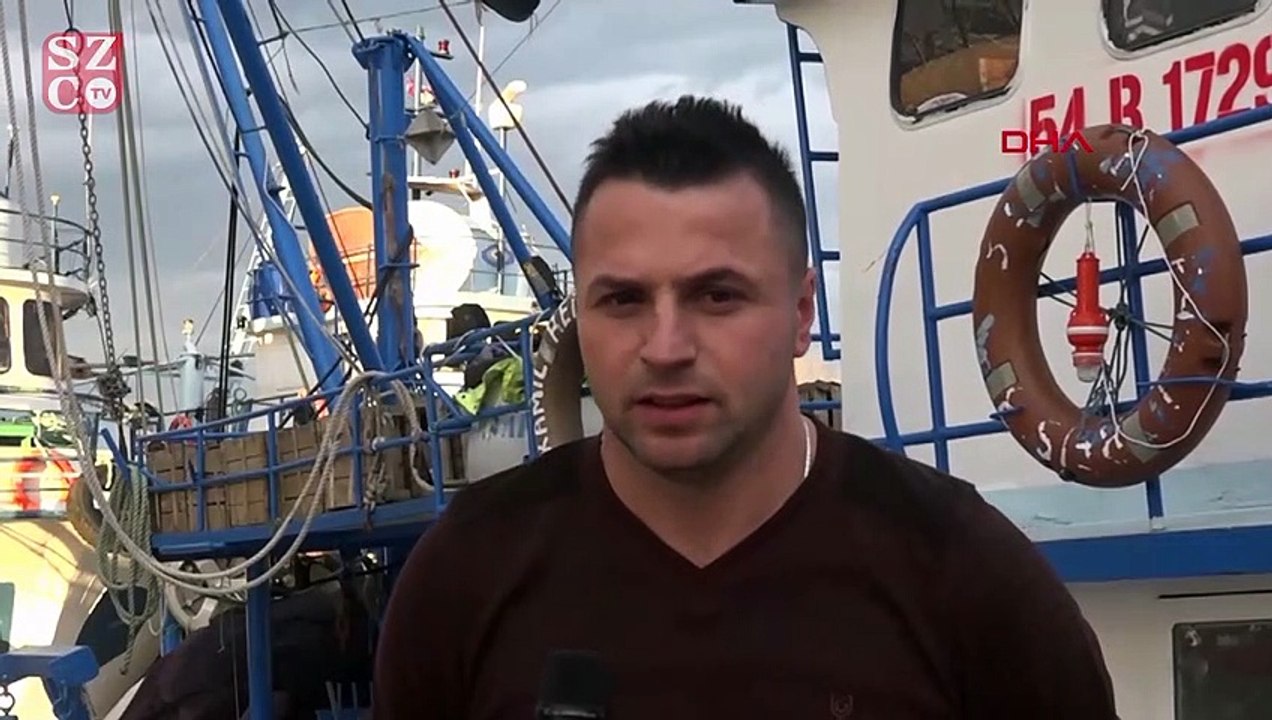 Sahile vuran ölü yunuslar ilçe halkı ile balıkçıları karşı karşıya getirdi