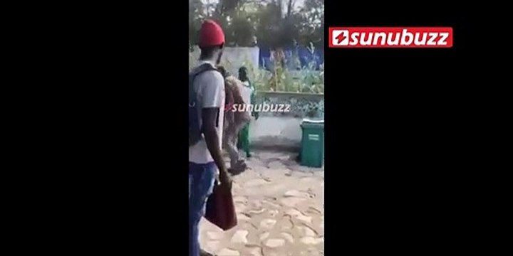 Parc Hann : voici la vidéo de l'homme qui a été mordu et blessé par un lion