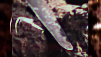 سرقة الاعمار في سحر الكابالا هل حقا موجود بالفعل؟