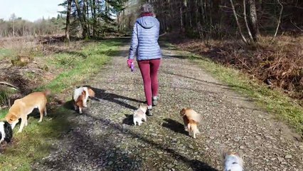 Les poilus en promenade