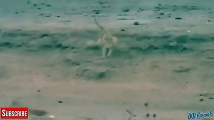 포항추천업소【OI0↔29O8↔68O③】포항추천업소예약♥∠≪