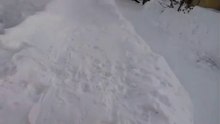 What a miracle! I would like it too!..  Какое чудо! Я бы тоже так хотел.