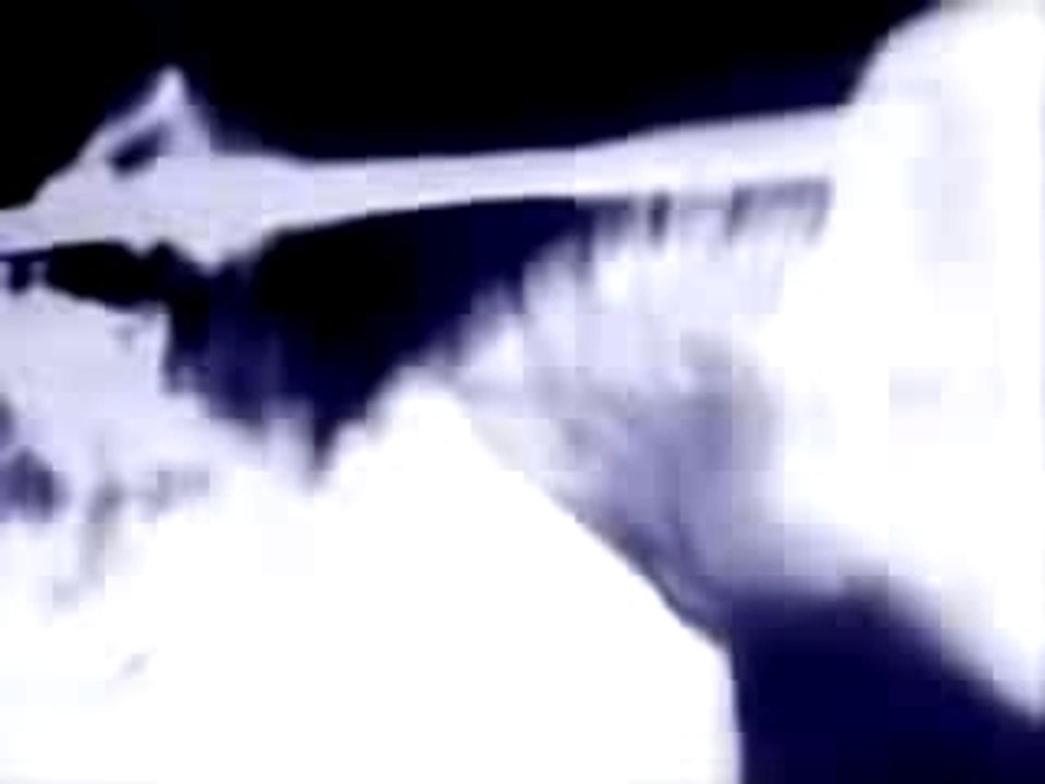 Real ghost signting