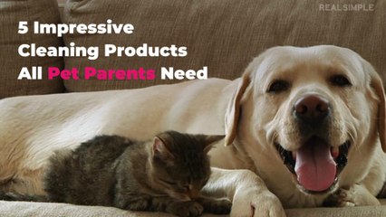 5 Impressive Cleaning Products All Pet Parents Need