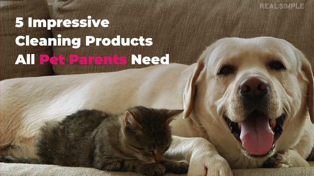 5 Impressive Cleaning Products All Pet Parents Need