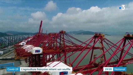 Covid-19 : l'agriculture commence à ressentir les effets de l'épidémie