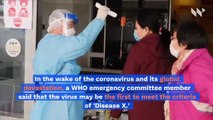 Coronavirus May Be Long Warned 'Disease X,' Experts Say