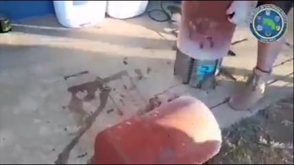 ext-decomiso-droga-240220