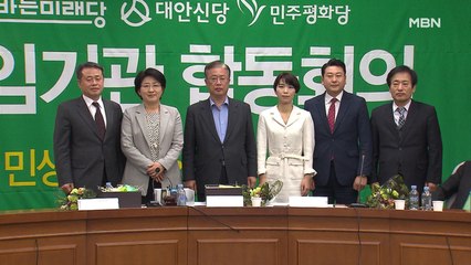 [종합뉴스 단신] 호남 3당 '민생당'으로 합당…공동대표 김정화·유성엽·박주현