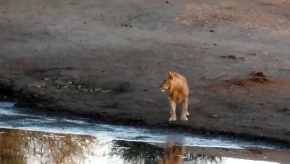 중랑추천업소【OI0↔29O8↔68O③】중랑추천업소예약♥◐≪