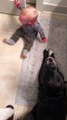Dog Howls when Baby Cries