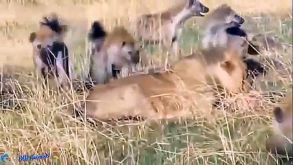 중랑출장서비스 중랑출장서비스O1OE6579E3382｛카톡VS67｝ 중랑출장마사지샵 중랑출장안마on중랑출장안마cos여3♪⇔∃마사지황형♥≂≪