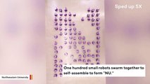 Watch Swarm Of 100 Robots Self-Assemble Without Colliding Into Each Other