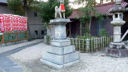 Fox Shrine in Japan