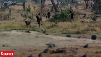 대전출장서비스 대전출장서비스O1Og2118g2518｛카톡KTX53｝ 대전출장마사지샵 대전출장안마on대전출장안마cos여3♪⇔∃마사지황형♥◡≪