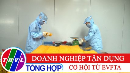 Chuyên đề kinh tế: Doanh nghiệp tận dụng cơ hội từ EVFTA