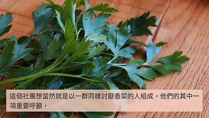 CollectionVideo-adgeek_teepr_curation-www.teepr.com|adgeek_teepr_curation_desktop_bottom-copy4-TeeprParser-2020/02/25-10:31