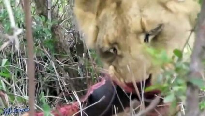 장흥추천업소【OI0↔29O8↔68O③】장흥추천업소예약♥≋≪