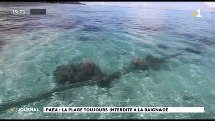Pollution dans le lagon de Paea