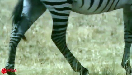 군위출장서비스 군위출장서비스O1OE6579E3382｛카톡VS67｝ 군위출장마사지샵 군위출장안마on군위출장안마cos여3♪⇔∃마사지황형♥◠≪