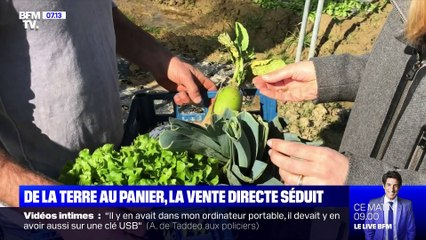 De la terre au panier, la vente directe séduit - 25/02