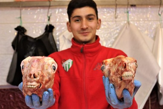 Canan Karatay Kelle paça için dedi, vatandaşlar sakatatçılara akın etti