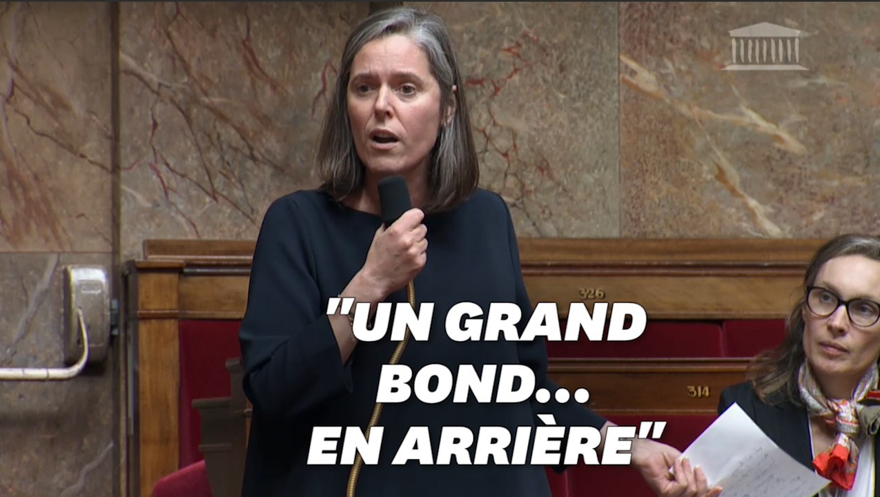 Le lapsus de cette députée LREM sur la réforme des retraites régale l'opposition