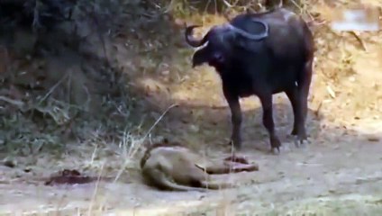 전남출장서비스 전남출장서비스O1OE6683E6402｛카톡GMC3 라인gmc3｝ 전남출장마사지샵 전남출장안마on전남출장안마cos여3♪⇔∃마사지황형♥≉≪