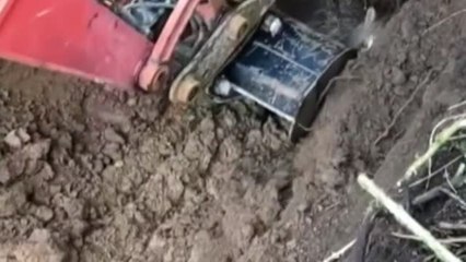 Rescate agónico de un poni que había quedado atrapado en un pozo en Gales