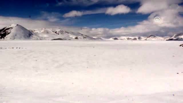 Doğu'nun saklı cenneti kış festivaliyle Çıldır'ı aratmayacak - AĞRI