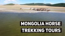 Mongolia Horse Trekking Tours