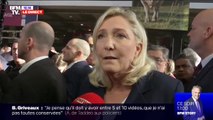 Coronavirus: Marine Le Pen n'a 