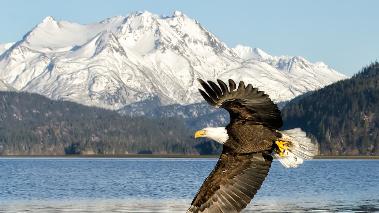 10 unvergessliche US-Trips