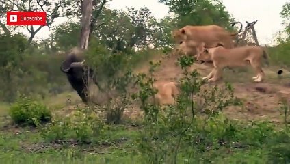 철원출장서비스 철원출장서비스O1Og2143g9131｛카톡VAS66｝ 철원출장마사지샵 철원출장안마on철원출장안마cos여3♪⇔∃마사지황형♥≪≪