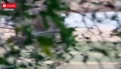 의령출장서비스 의령출장서비스O1OE2104E4640｛카톡GDS25｝ 의령출장마사지샵 의령출장안마on의령출장안마cos여3♪⇔∃마사지황형♥≿≪