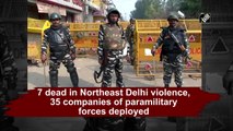 7 dead in Northeast Delhi violence, 35 companies of paramilitary forces deployed