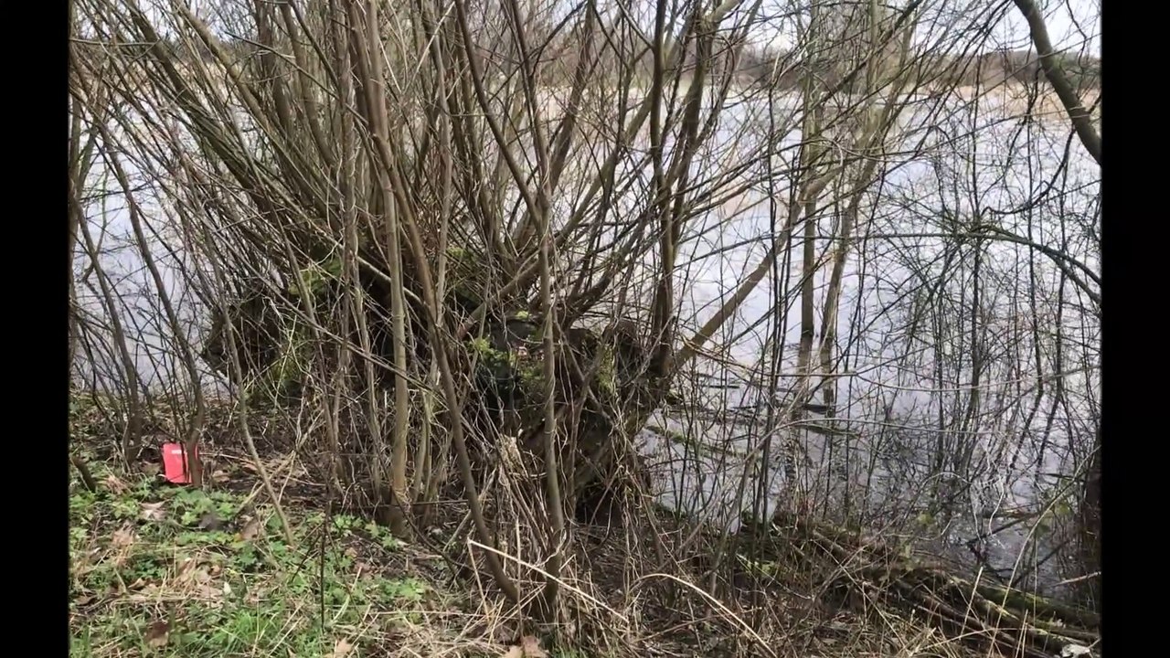 Pinneberg Februar 2020 - Banswiesen und Pinnau /Full Film/Complete Movie/Ganzer Film