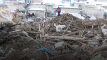 Dog helps rescue teams after 5.7-magnitude quake kills 9 near Iran border